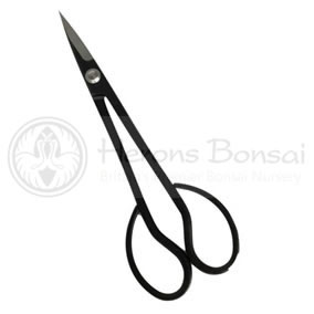 bonsai trimming scissors narrow